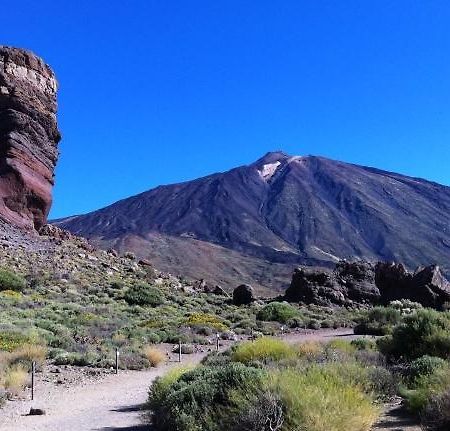 Marody Tenerife House El Médano Dış mekan fotoğraf