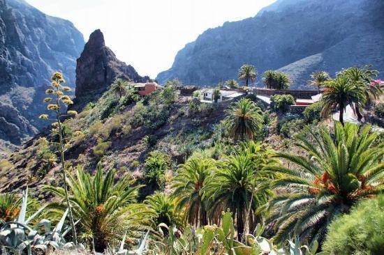 Marody Tenerife House El Médano Dış mekan fotoğraf